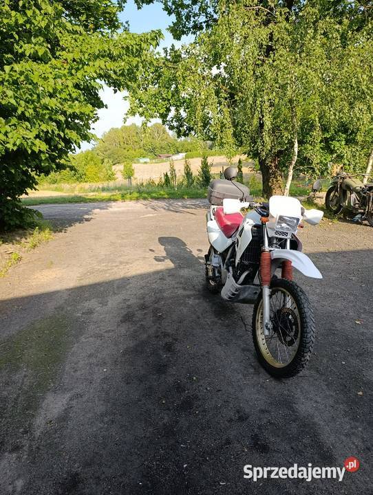 Honda xl600v transalp Wąbrzeźno