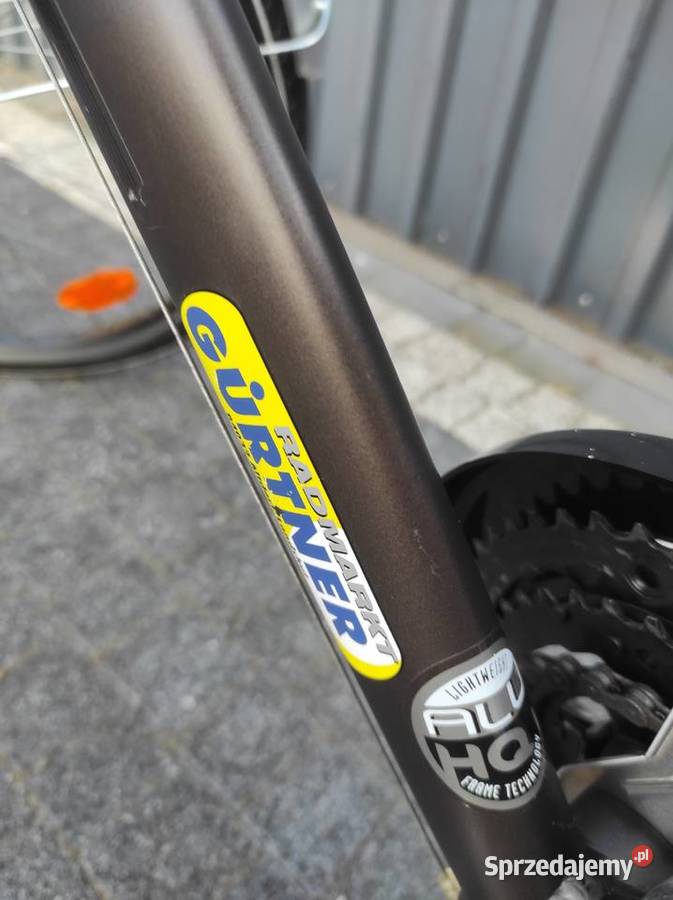 Rower męski Pegasus Pokój