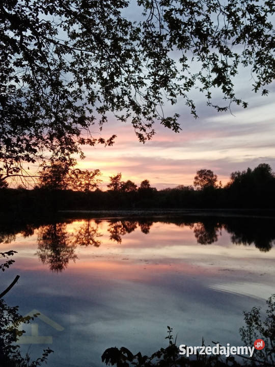 Ogłoszenie działka Ostrowiec