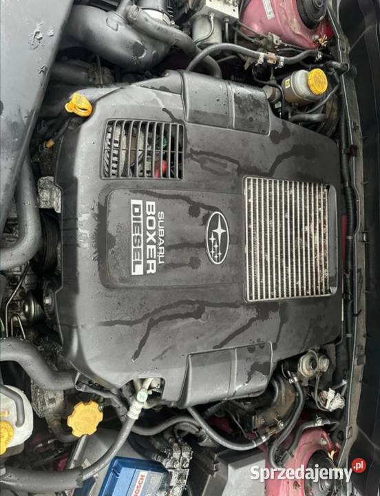 Subaru Forester cała na części silnik diesla osobowe lubuskie Szprotawa sprzedam