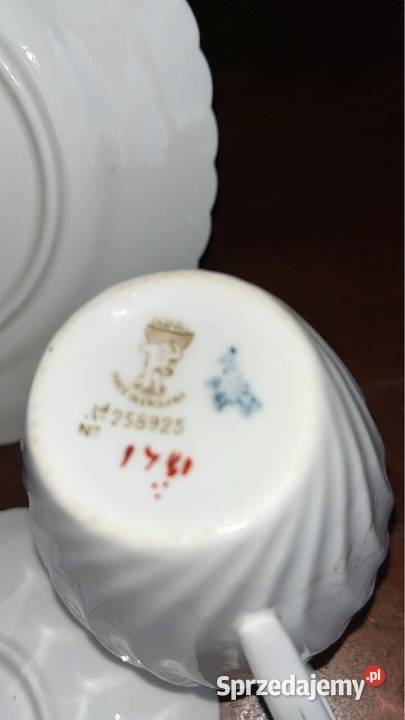Mlecznik Chapman Atlas z 1896 r Orchidea England pomorskie Gdańsk