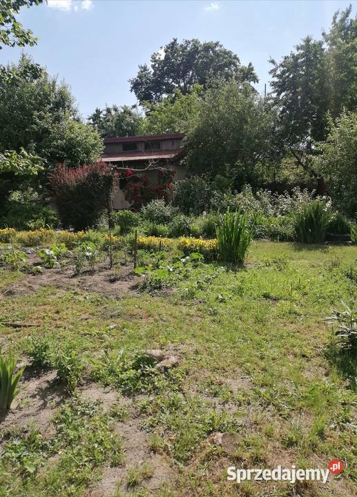 Dwie Działki ROD Mickiewicza 836 m2 Lublin