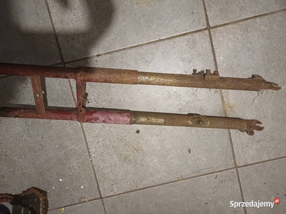 Ryś Żak wfm małopolskie