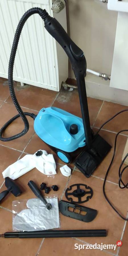 Stacja parowa żelazko parowe wielkopolskie Ostrów Wielkopolski sprzedam