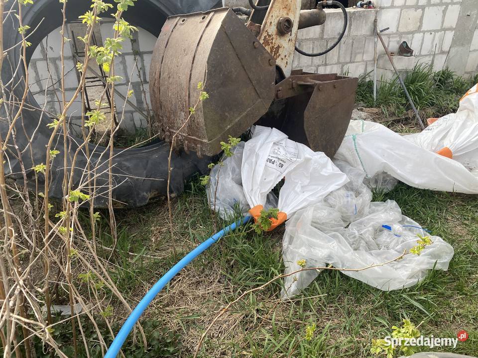 Cyklop sprzedam Goździk