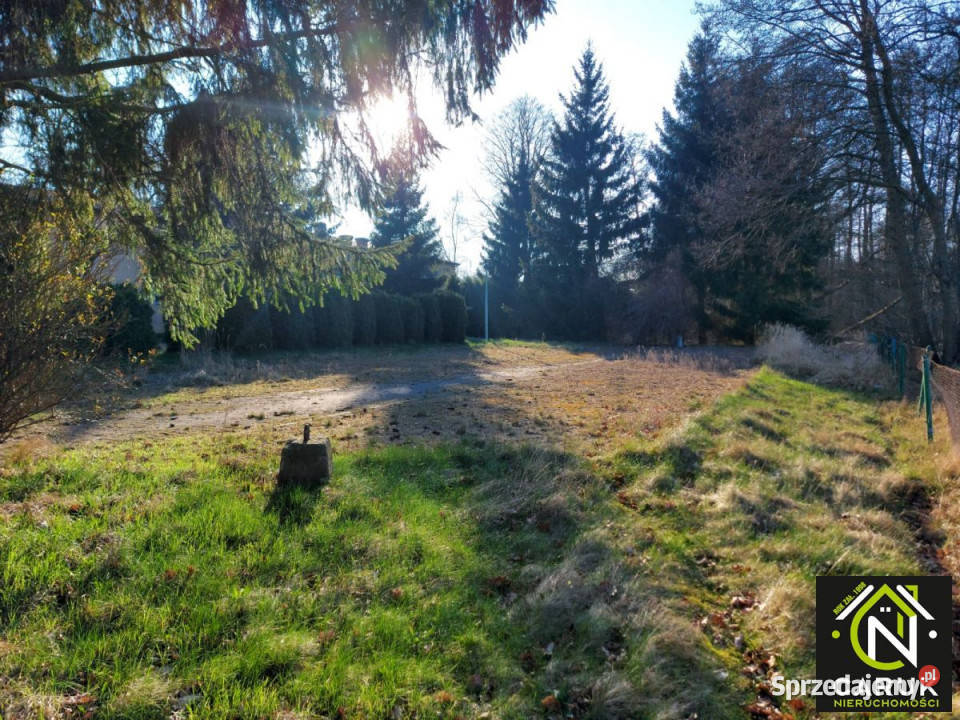 Ogłoszenie działka 5011m2 Brzózki Sprzedaż sprzedam