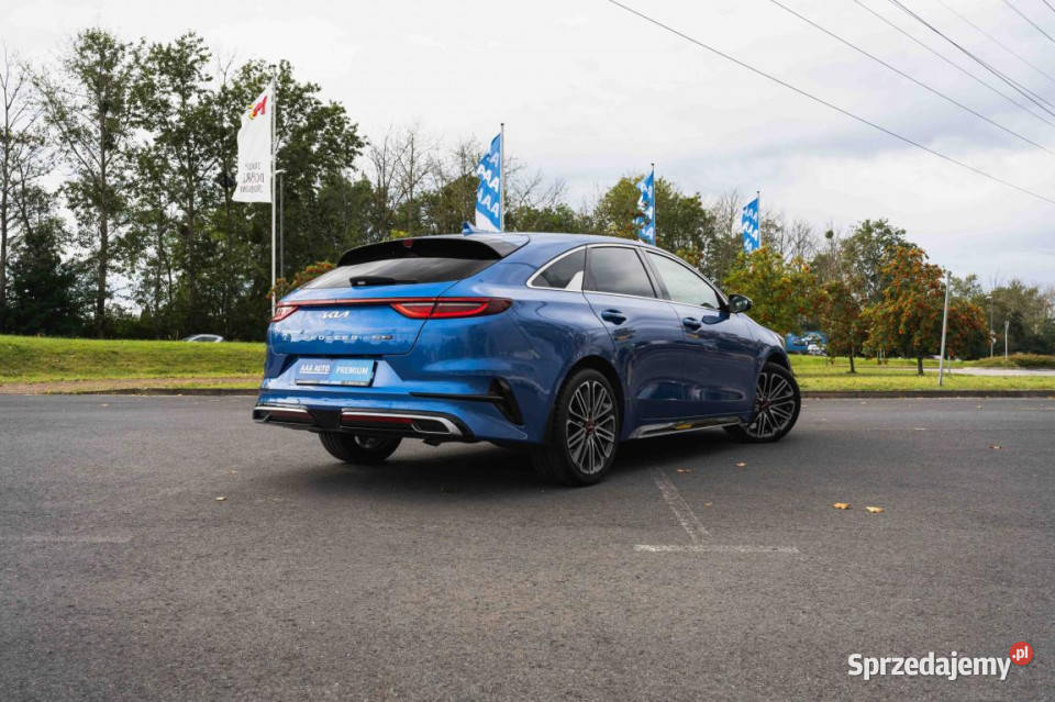 Kia ProCeed 15 TGDI Zabrze