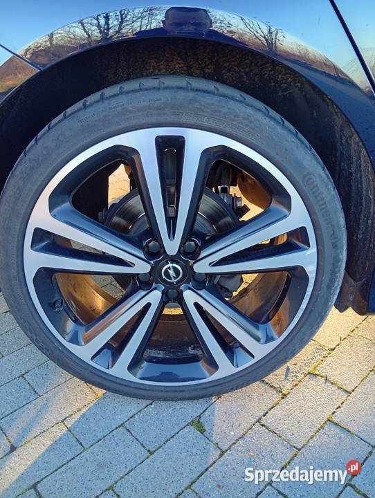 Opel Insignia OPC Insignia Goląsza Górna