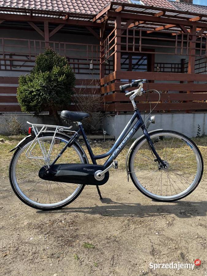 Rower holenderski Target Shimano Nexus