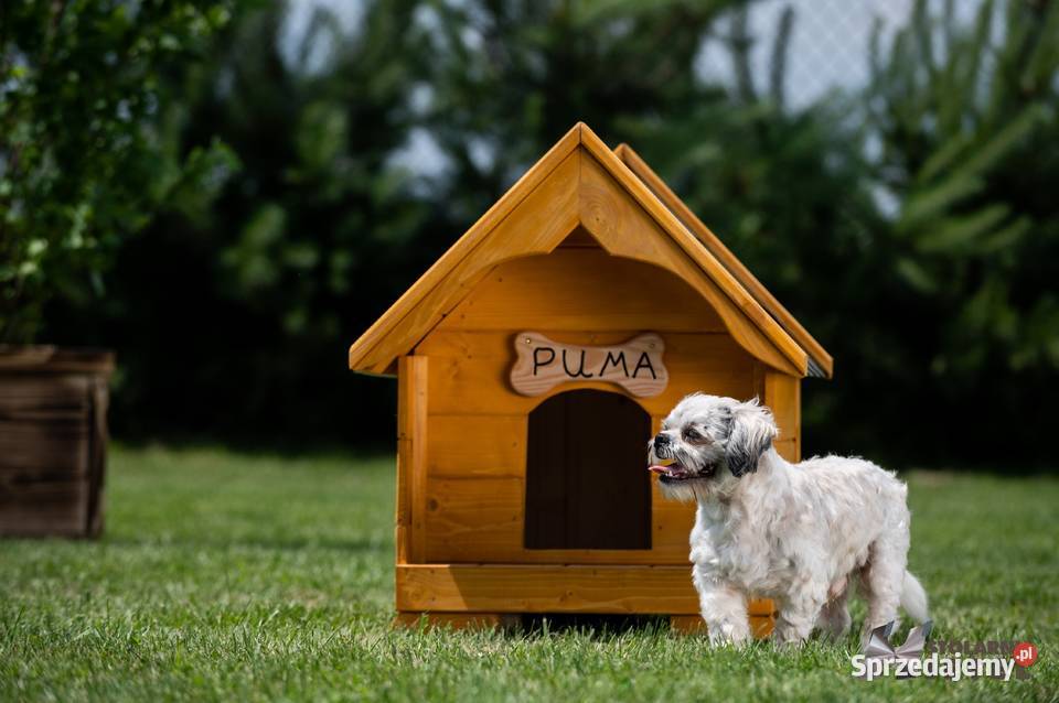 Buda małego psa WYSYŁKA grawer