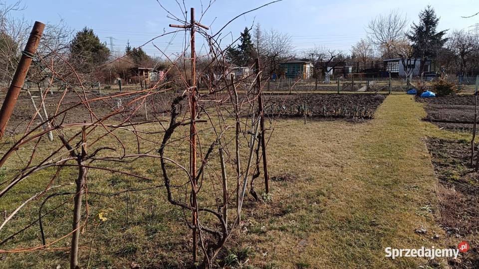 Radość działka odstąpie 31zł/m2 Sprzedaż Wrocław