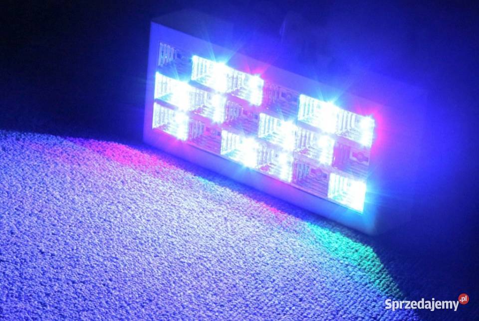 Kolorofon stroboskop trzy kolory disco reflektor Drawsko Pomorskie
