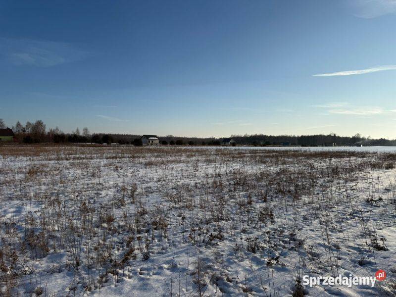 działki rekreacyjne jeziora Przytomne Zuzinów