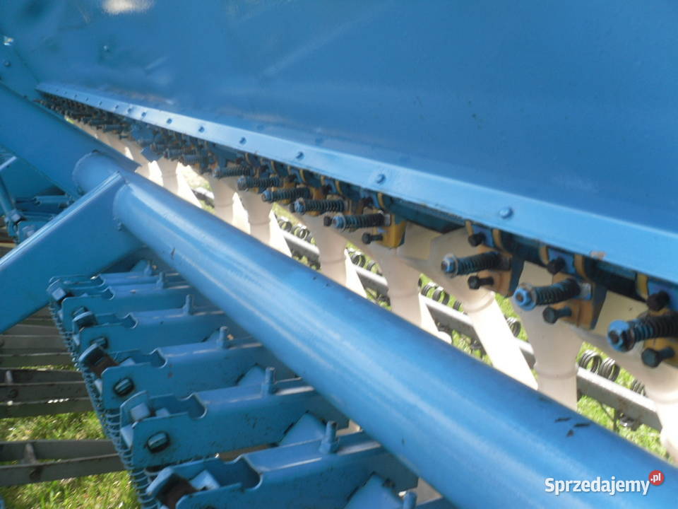 Siewnik poznaniak nieuszkodzony Klonowa