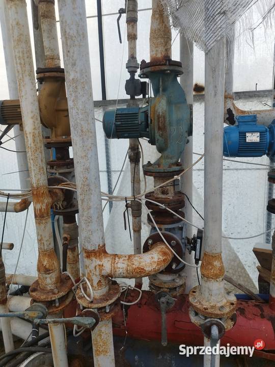 Szklarnia venlo holenderska holenderka szklarnie Częstochowa