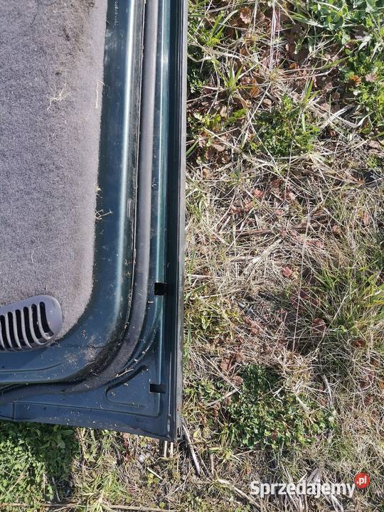 Chrysler Voyager drzwi lewy przód części blacharskie Czerwionka-Leszczyny