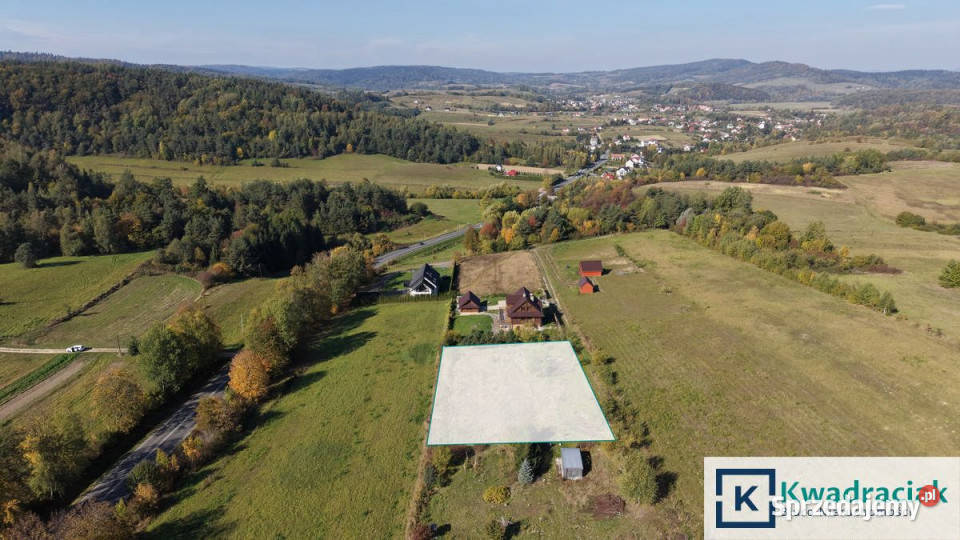 sprzedaży działki 1856m2 Berezka Sprzedaż podkarpackie