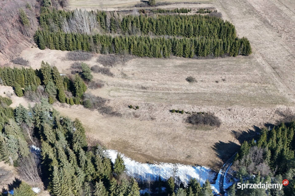 Działka w pięknym miejscu Dursztyn sprzedam