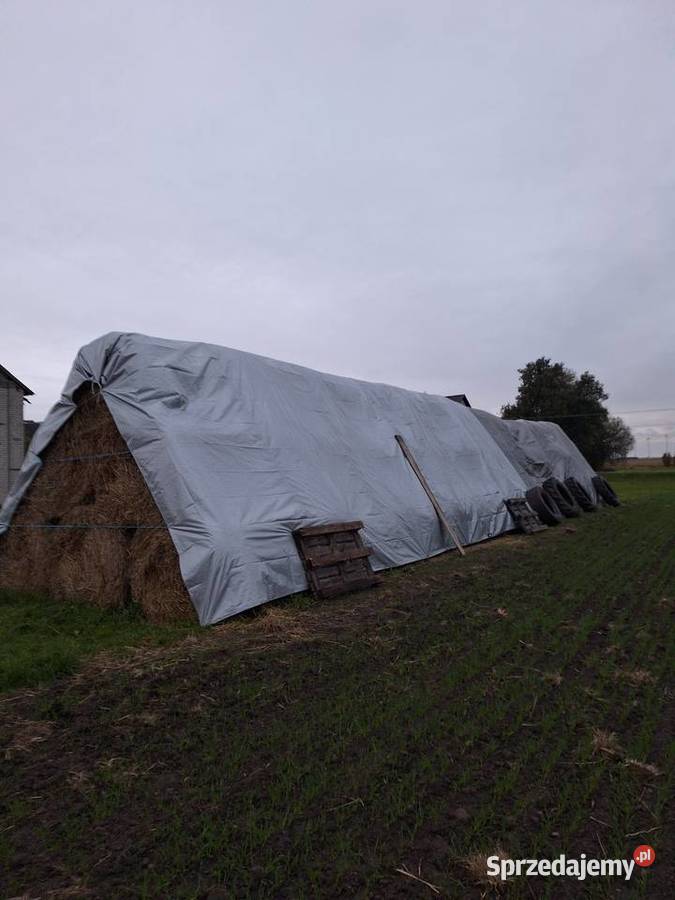 Sprzedam bele słomy Iłża