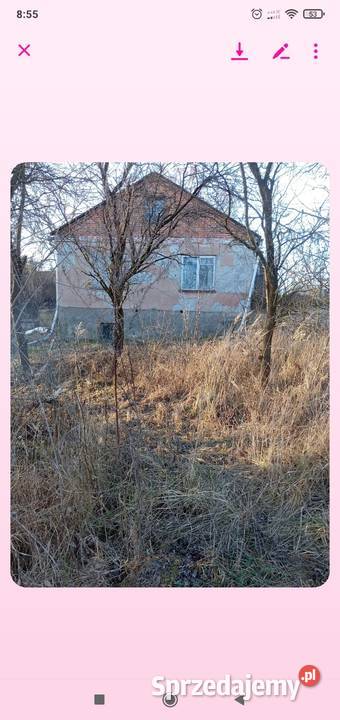 sprzedam dom Orłów Murowany sprzedam