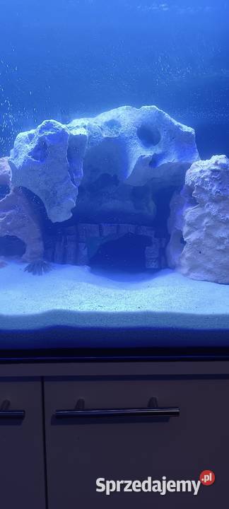 Sprzedam akwarium Poznań