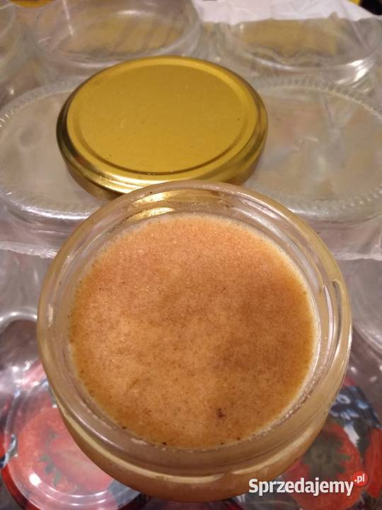 Plaster miodu Miód w plastrach Miód żywyj Ramka Pszczelarstwo Warszawa