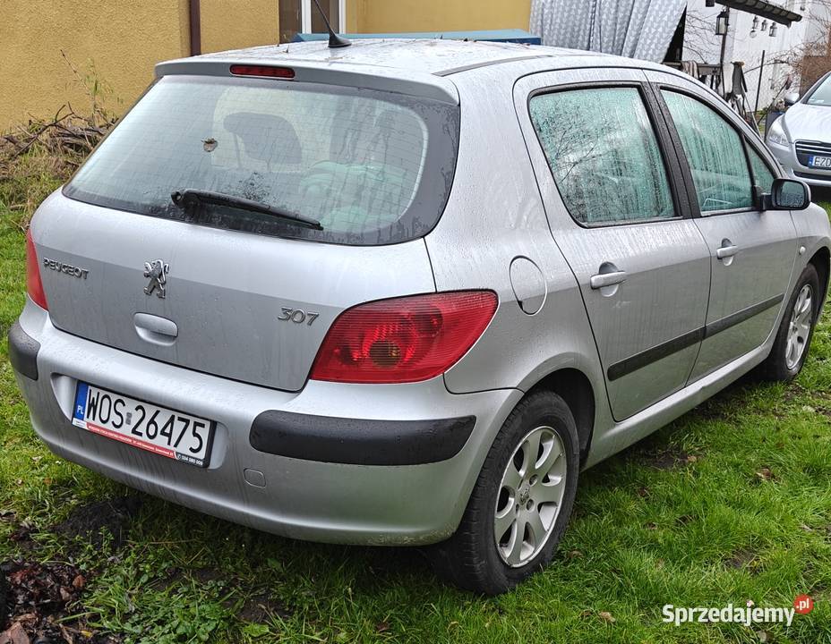 Peugeot 307 16 benzyna sprawna klimatyzacja Lucynów