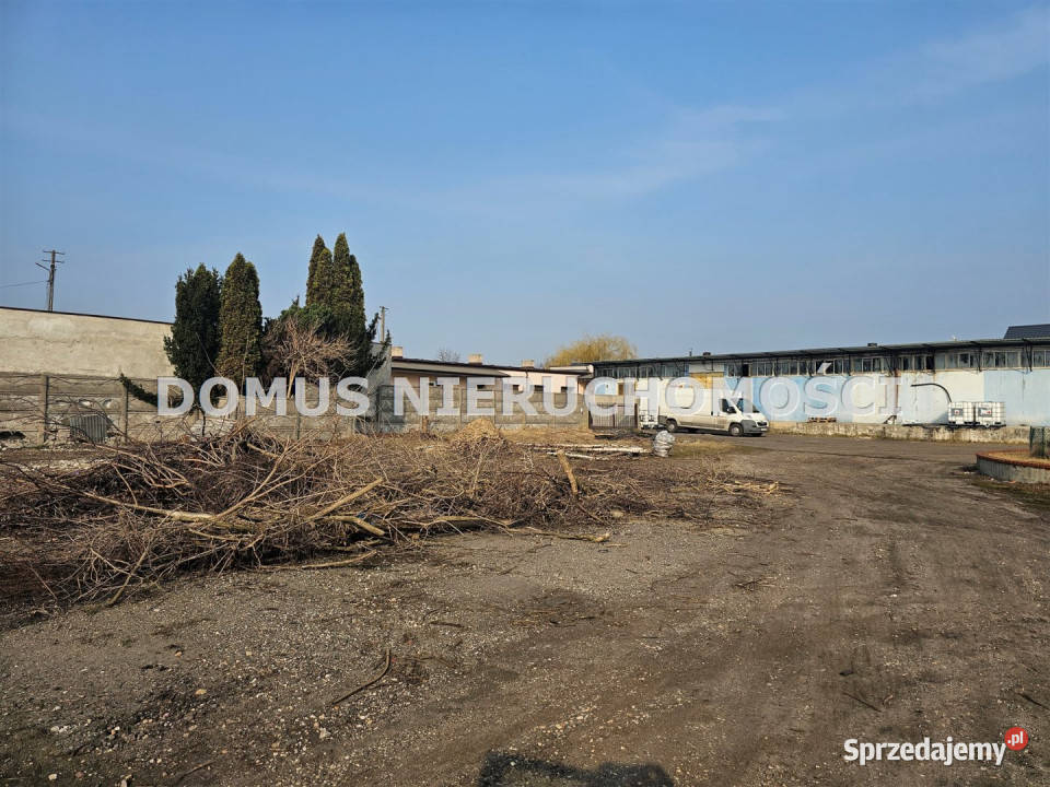 Lokal wynajmę Brzeziny 250m2