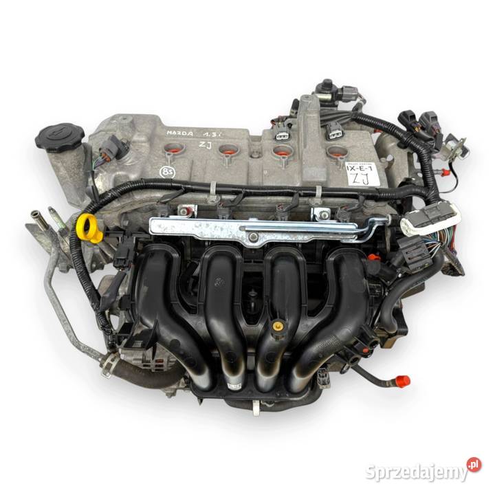 SILNIK ZJ Mazda 2 DE Mazda 3 BK 13 16V benzyna Chełm