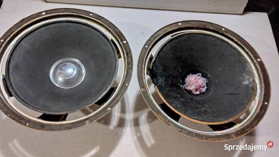 Tonsil Alton kosz głośnika GDN 30804 Wrocław