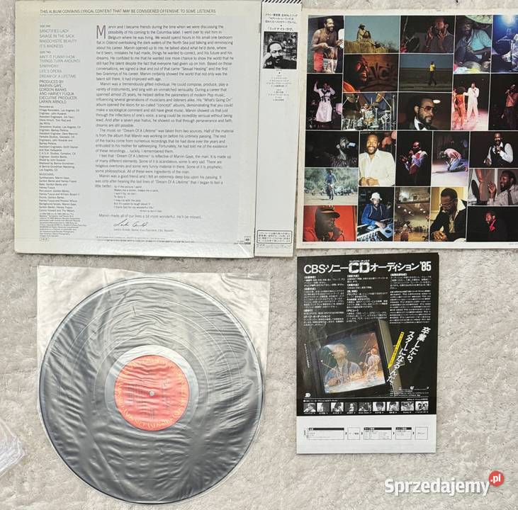 Marvin Gaye Dream Of A Lifetime MVG Japan Obi LP Rumia