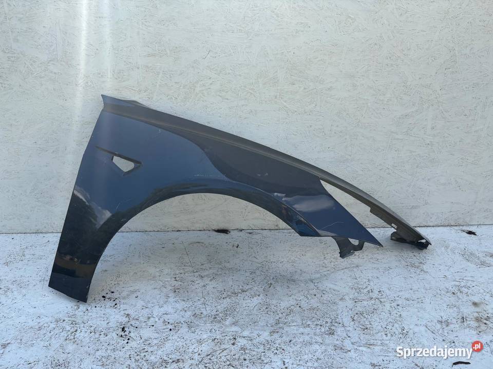 TESLA MODEL 3 BŁOTNIK PRAWY PRZÓD PRZEDNI Jabłonna