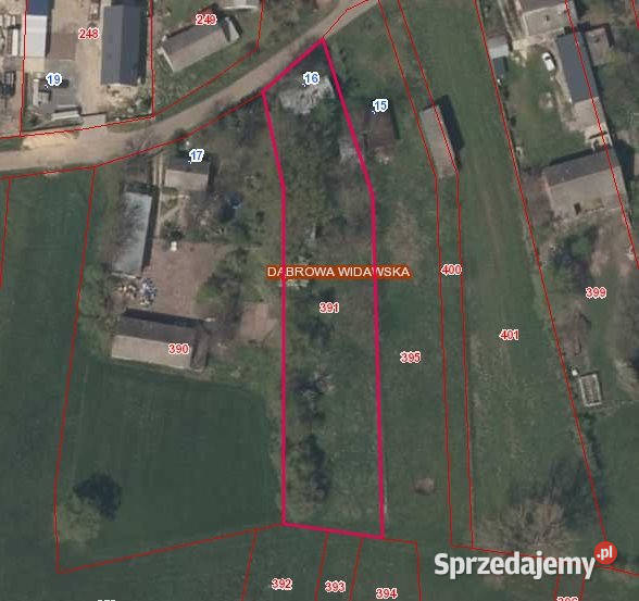 sprzedaży działki Dąbrowa Widawska 2500m2