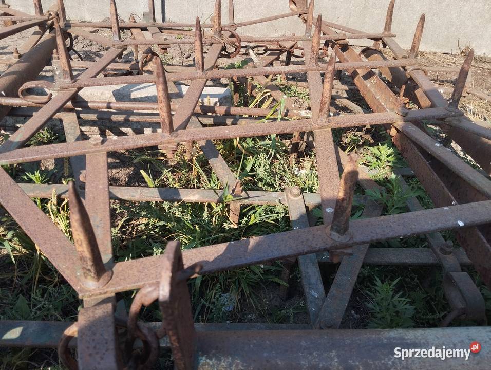 Sprzedam brony Grudziądz 5 sprzedam