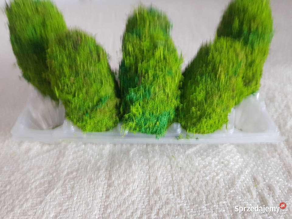 Koszyczki wielkanocnestroiki Łapy