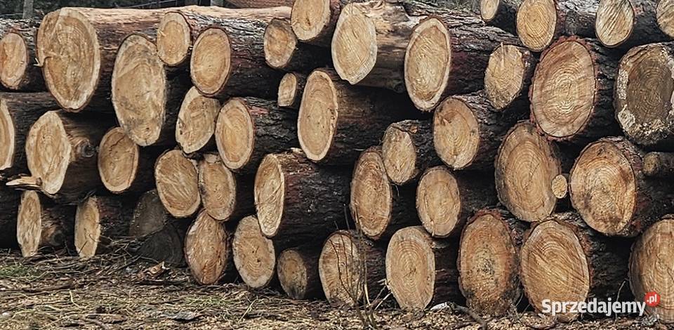 Drewno opałowe modrzew Opał Zagnańsk