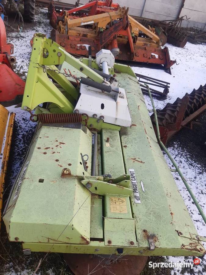 Kosiarka claas corto 3100fc Nowe Skalmierzyce