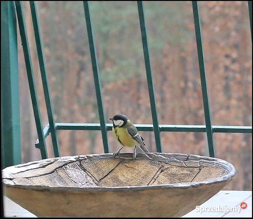 Patera z Ceramiki 39 Rękodzieło Vintage Okazja mazowieckie Warszawa