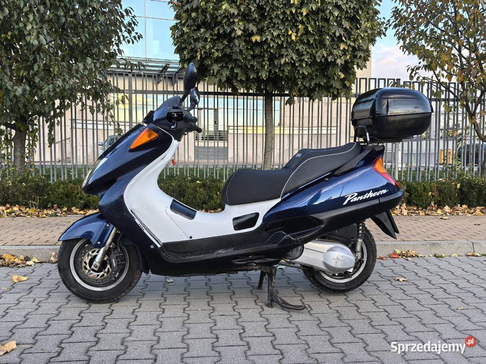Honda Pantheon 125 2t 2002 Doinwestowany 20 Poznań