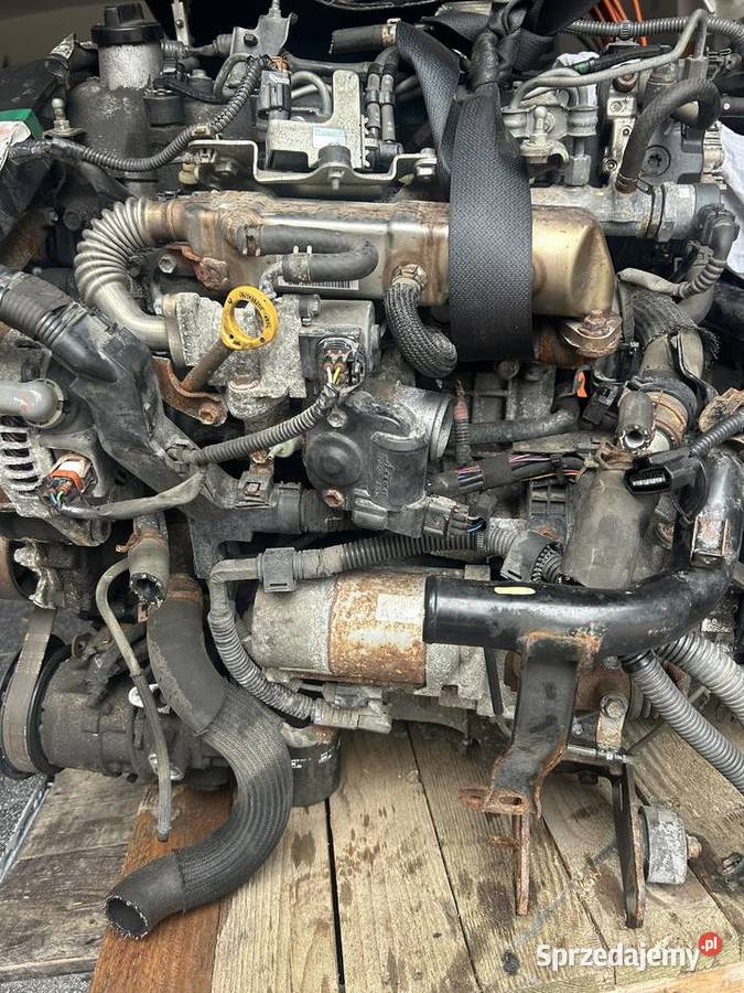Silnik Toyota corolla 14 d osobowe Silniki kompletne Lubraniec