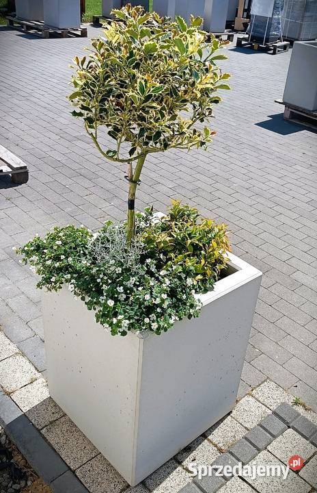 donica doniczki z betonu architektonicznego Pozostałe Prudnik