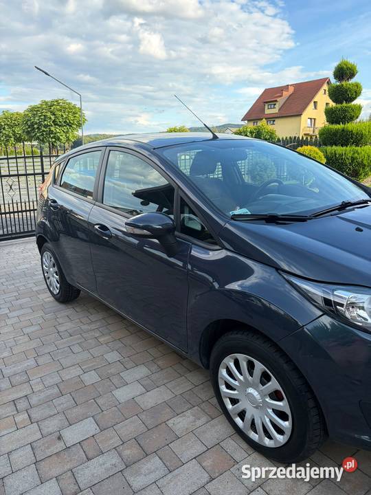 Ford Fiesta małopolskie Sułkowice