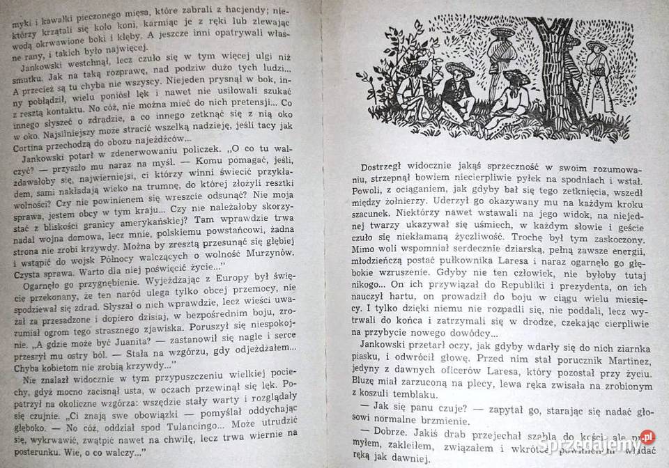 Cień Montezumy Bolesław Mrówczyński miękka Pozostałe Chełm