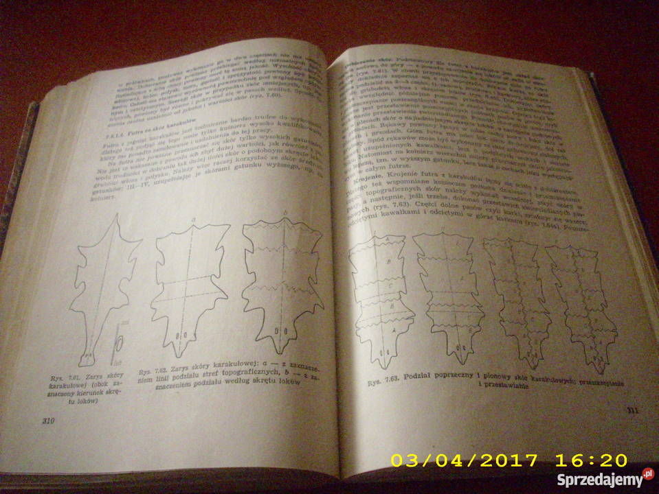 Kuśnierstwo Burzyński Duda Dzieża Suliga js Goleniów