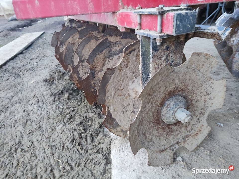 Brona talerzowa Lubcza