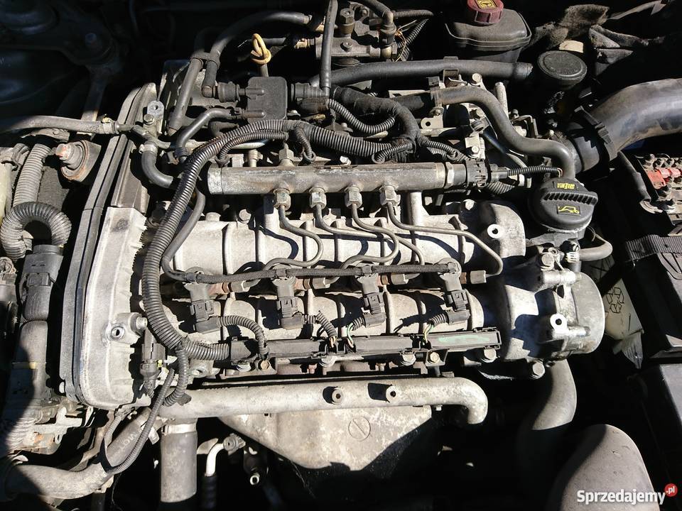 Alfa Romeo 147 na części 19 JTD Chmielnik