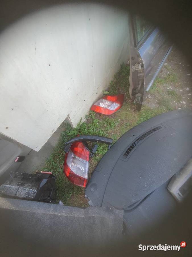 Renault scenic 19 części Pozostałe