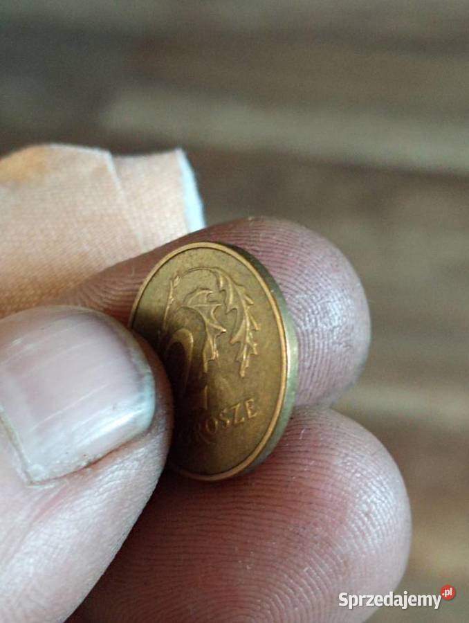 Sprzedam monete 2 grosze 1991 r lubelskie Chełm