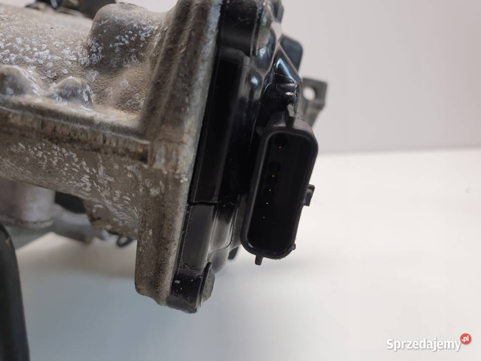 Renault Scenic III 19 DCI ZAWÓR EGR chłodnica lubelskie Rudka