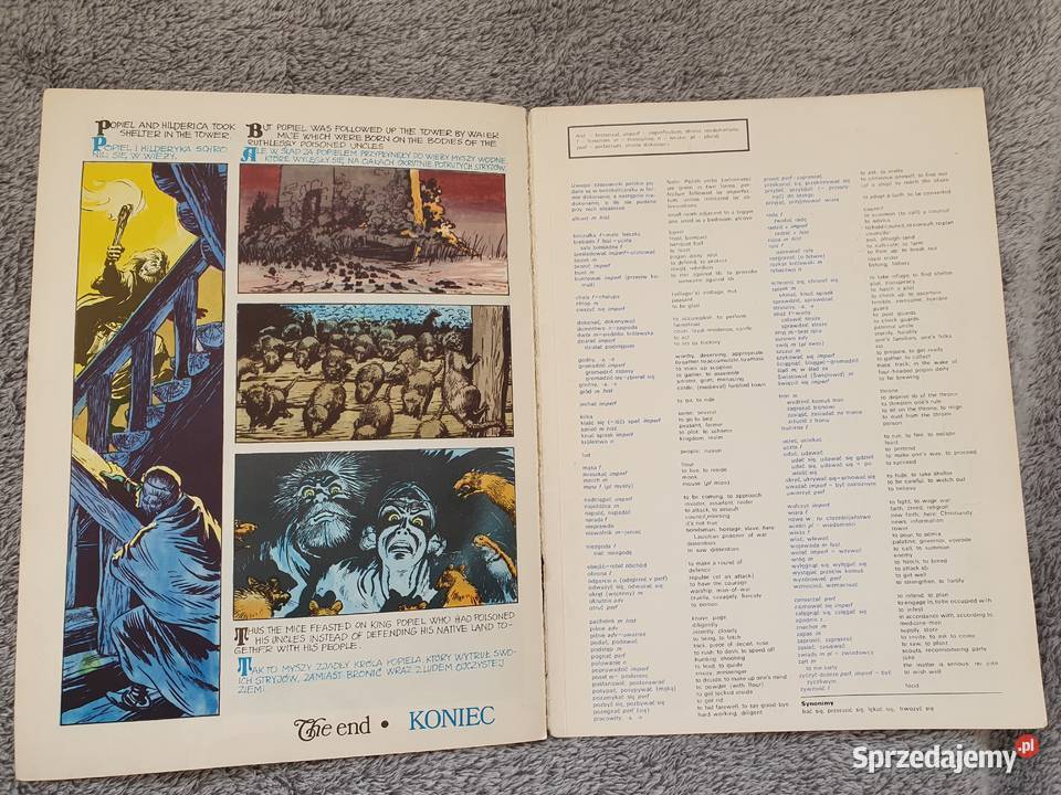 Opowieść o Popielu i Myszach wydanie 1 1976 Polskie Gdynia